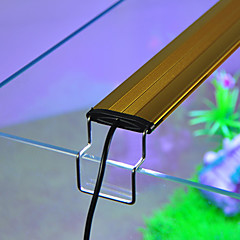 Voordelige Aquarium Verlichting online | Aquarium Verlichting voor 2018 Voordelige Aquarium Verlichting online | Aquarium Verlichting voor 2018